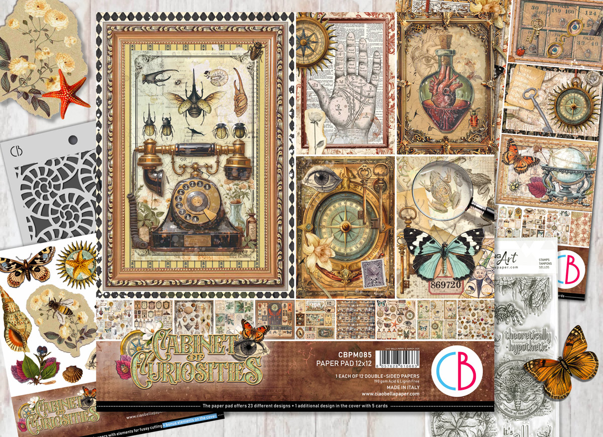Cabinet of Curiosities