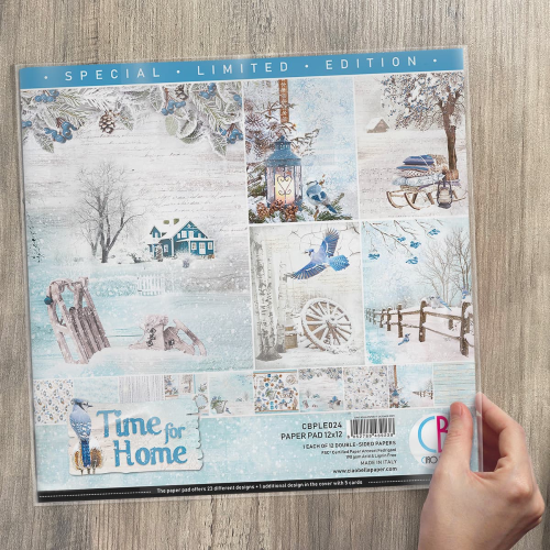 Time for Home Limited Edition Paper Pad 12"x12" 12/Pkg