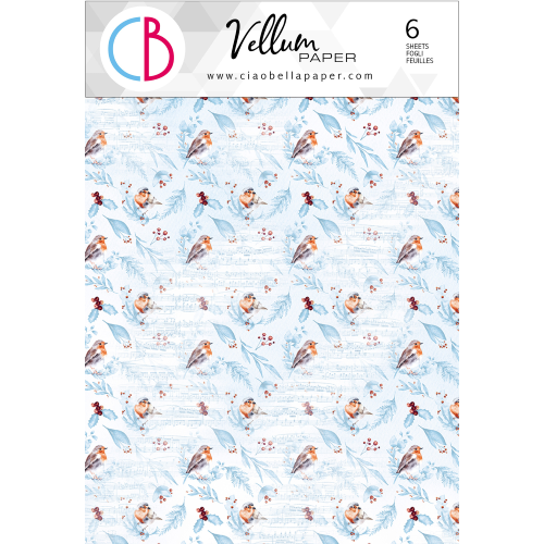 Vellum Winter Journey Paper Patterns A4 6/Pkg