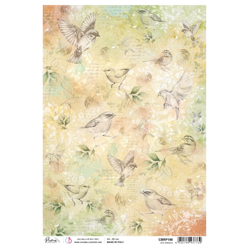 Rice Paper A4 Les oiseaux