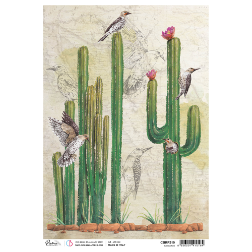 Rice Paper A4 Saguaros