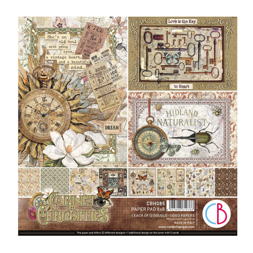 Cabinet of curiosities  Pad 8"x8" 12/Pkg