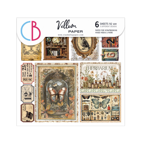 Vellum Cabinet of curiosities Fussy Cut 6"x6" 6/Pkg
