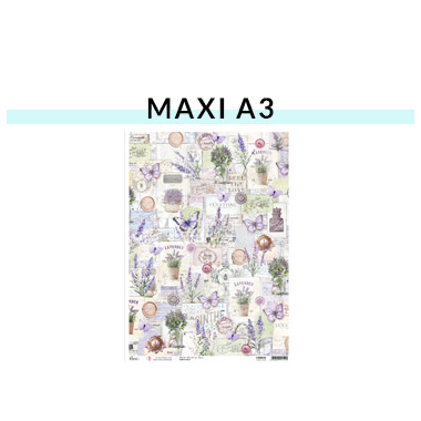 Maxi A3