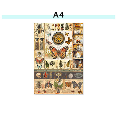 A4