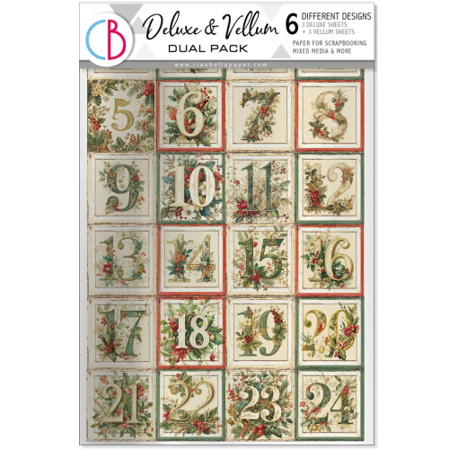 Deluxe Paper & Vellum Dual Pack A4  MIXED 6/Pkg Merry & Bright